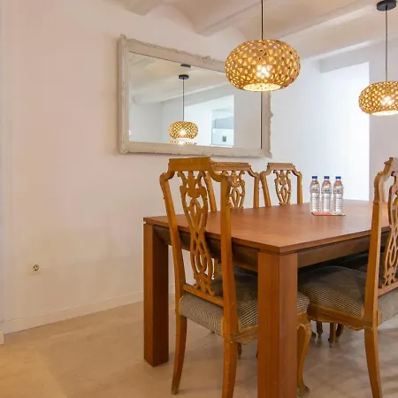 Vlc Host - Botanico Valence